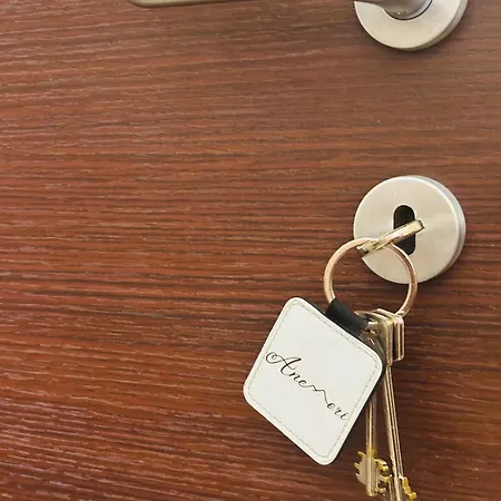 Anemori Centro Gæstehus